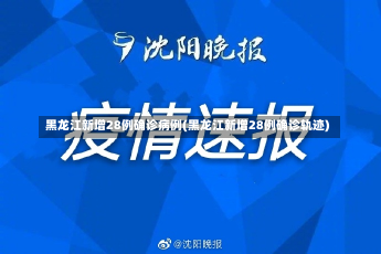 黑龙江新增28例确诊病例(黑龙江新增28例确诊轨迹)