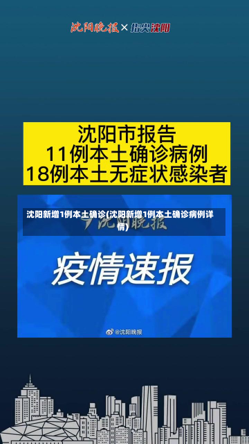 沈阳新增1例本土确诊(沈阳新增1例本土确诊病例详情)