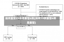 扬州重型23例危重型6例(扬州19例重型6例危重型)