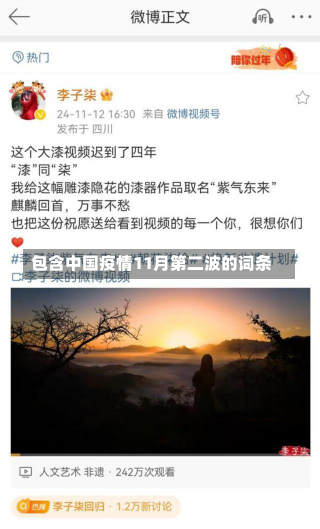 包含中国疫情11月第二波的词条