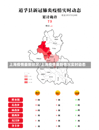 上海疫情最新状况/上海疫情最新情况实时动态