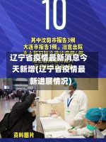 辽宁省疫情最新消息今天新增(辽宁省疫情最新进展情况)