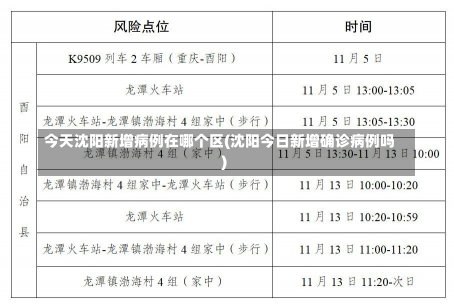 今天沈阳新增病例在哪个区(沈阳今日新增确诊病例吗)