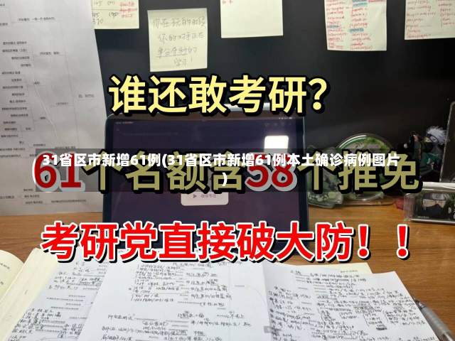 31省区市新增61例(31省区市新增61例本土确诊病例图片)