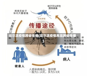 哈尔滨疫情跨省传播(哈尔滨疫情再现跨省传播)